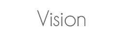 vision page title